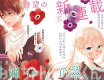 花间月精品